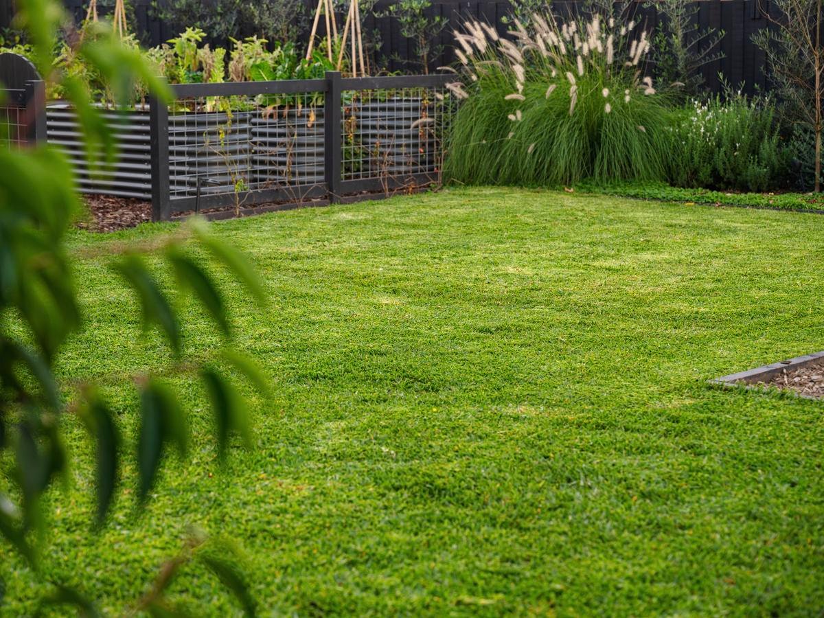Lawn Mowing